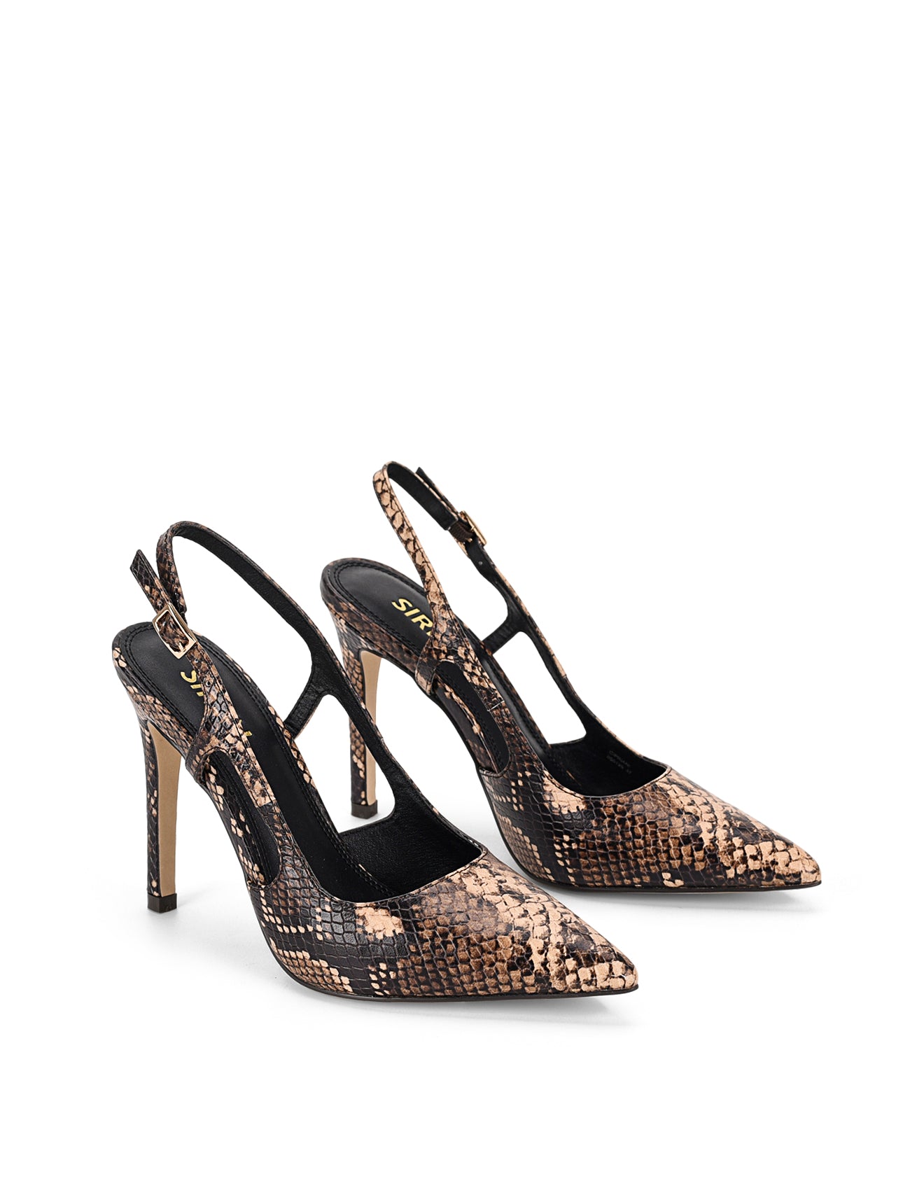 Cipriani Stiletto Pump - Brown Snake Leather