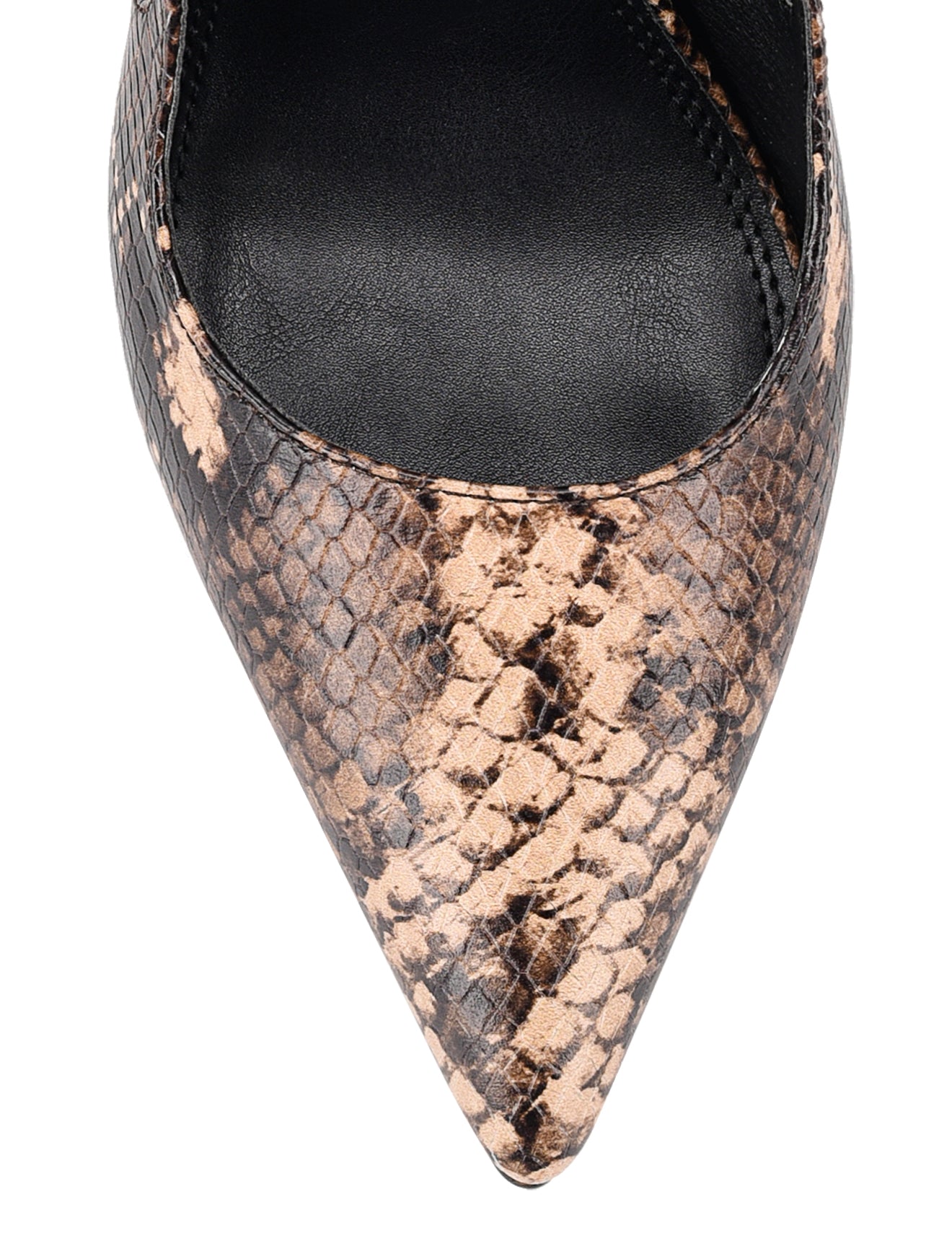 Cipriani Stiletto Pump - Brown Snake Leather