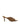 Mabel Point Toe Mules - Toffee Brown Suede