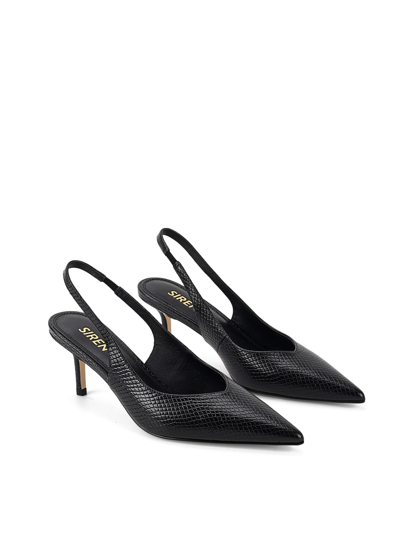 Women's slingback kitten heel in black embossed croc leather with pointed toe and v shaped throat and elastic fastening